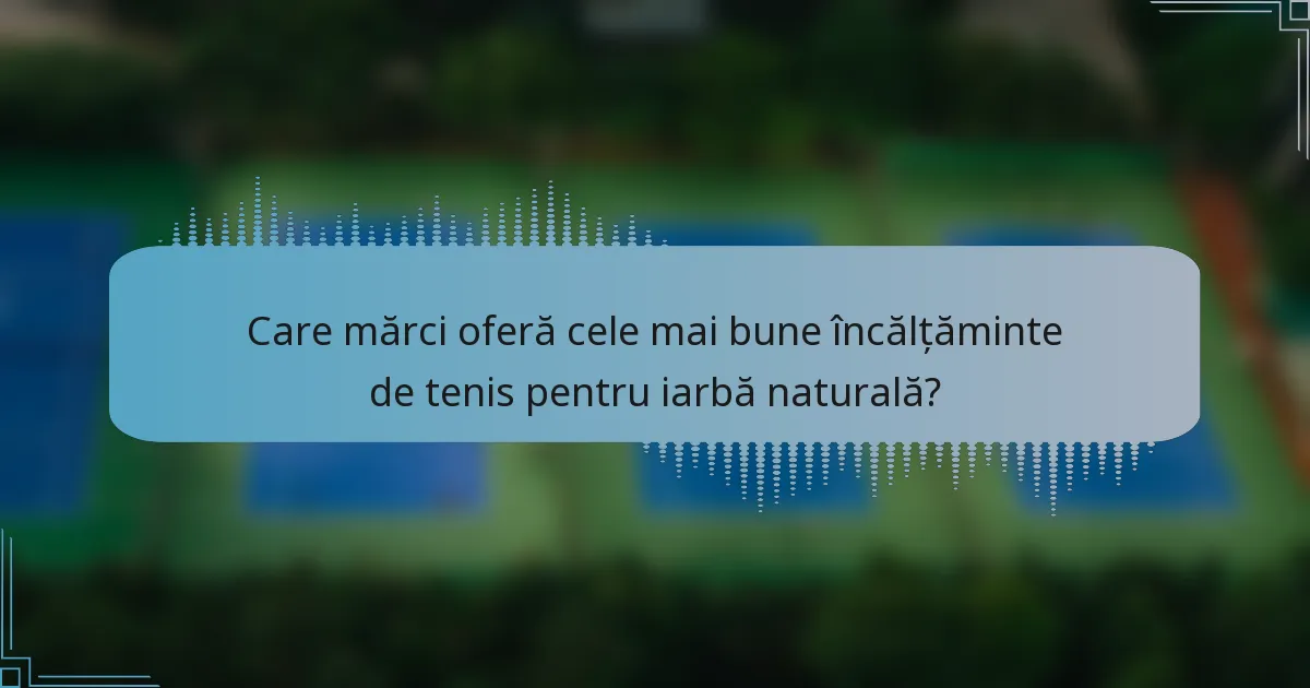 Care mărci oferă cele mai bune încălțăminte de tenis pentru iarbă naturală?