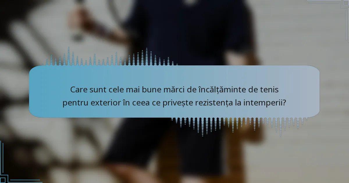 Care sunt cele mai bune mărci de încălțăminte de tenis pentru exterior în ceea ce privește rezistența la intemperii?