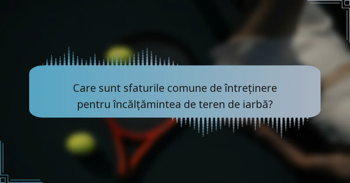 Care sunt sfaturile comune de întreținere pentru încălțămintea de teren de iarbă?