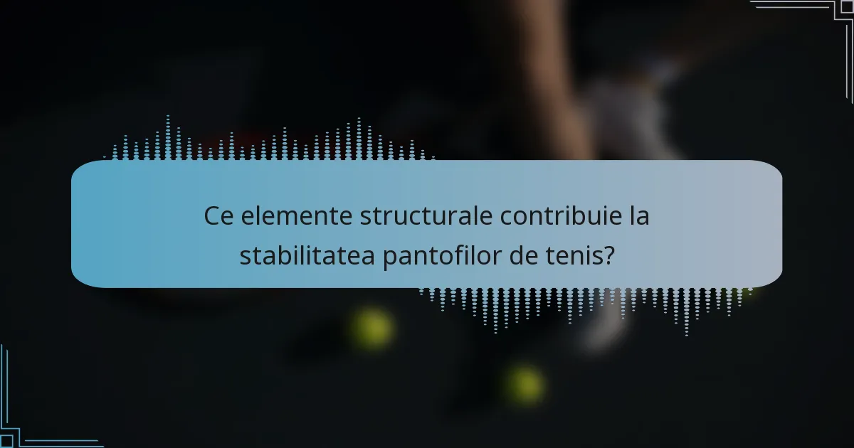 Ce elemente structurale contribuie la stabilitatea pantofilor de tenis?