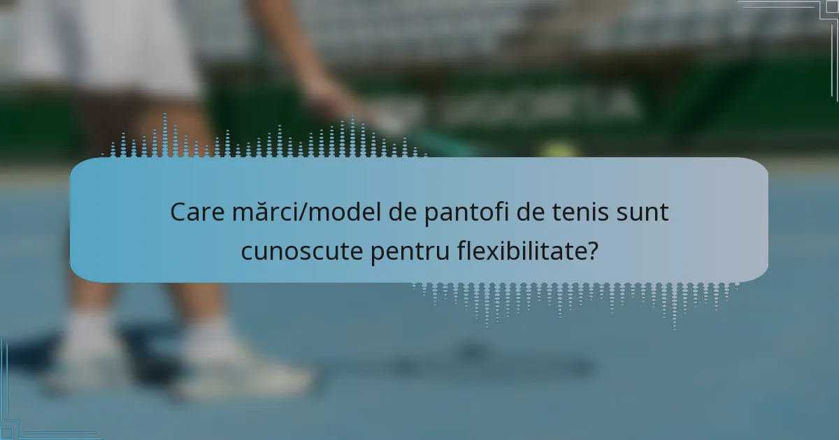 Care mărci/model de pantofi de tenis sunt cunoscute pentru flexibilitate?